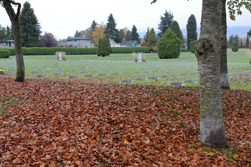 Illustration for article titled Pics from the Cemetery: 2017-11-11 at Mountain View